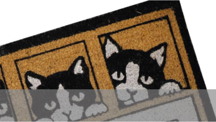 Category Door Mats image